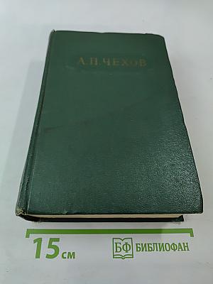 Том двенадцатый: Письма 1895-1904