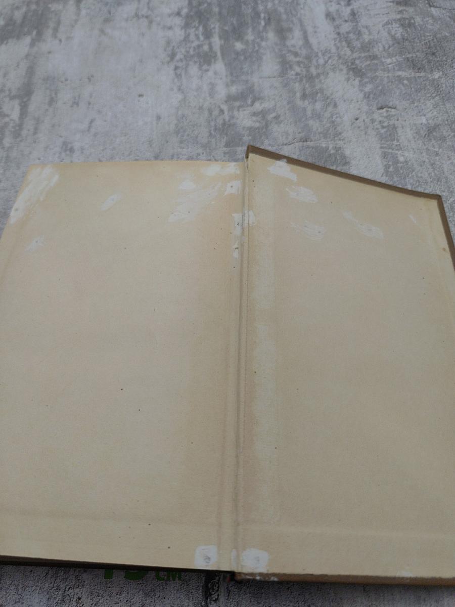 Собрание сочинений. Том второй. Повести