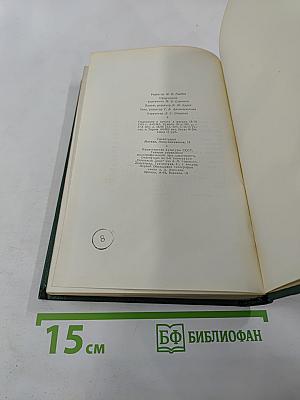 Собрание сочинений. Том шестой: Повести и рассказы 1888-1891