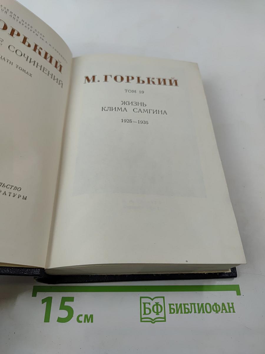 Жизнь Клима Самгина. Том 19