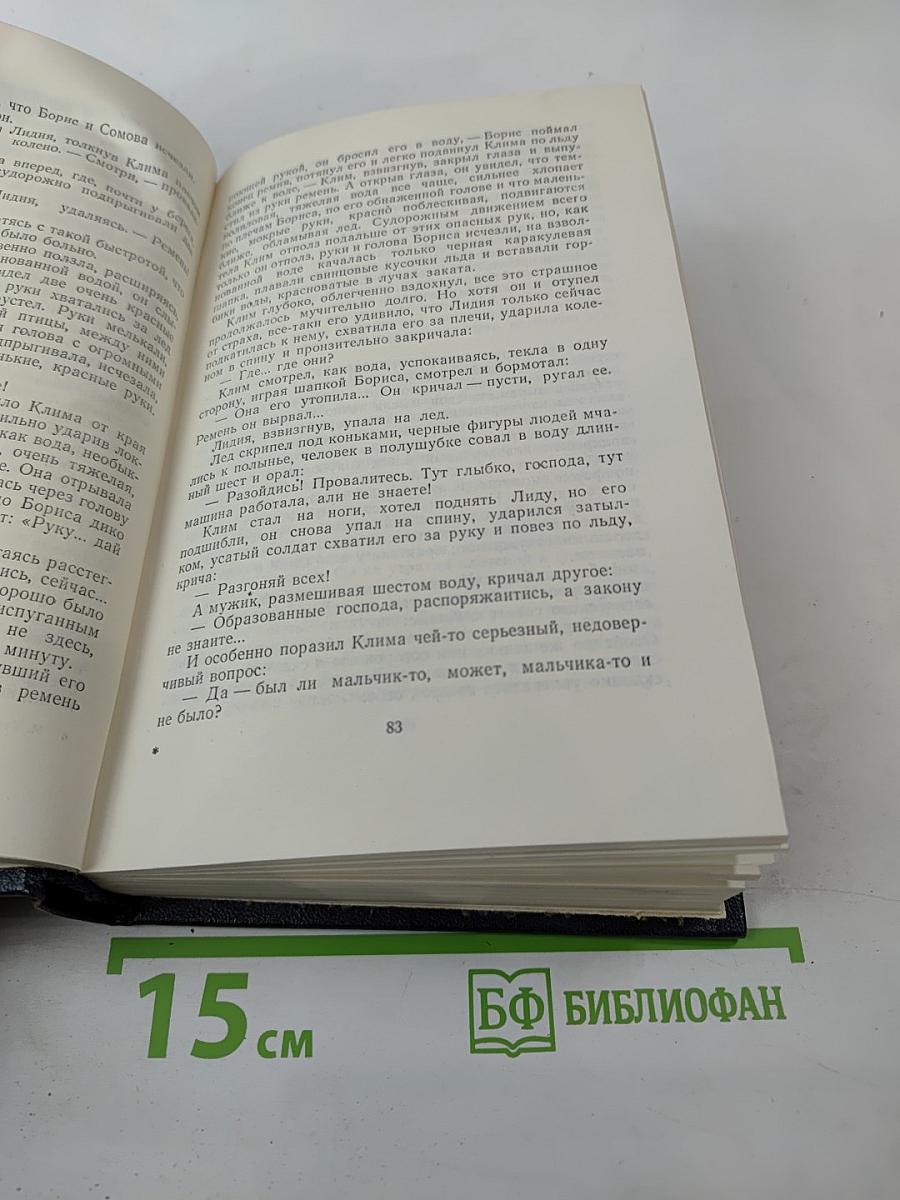 Жизнь Клима Самгина. Том 19