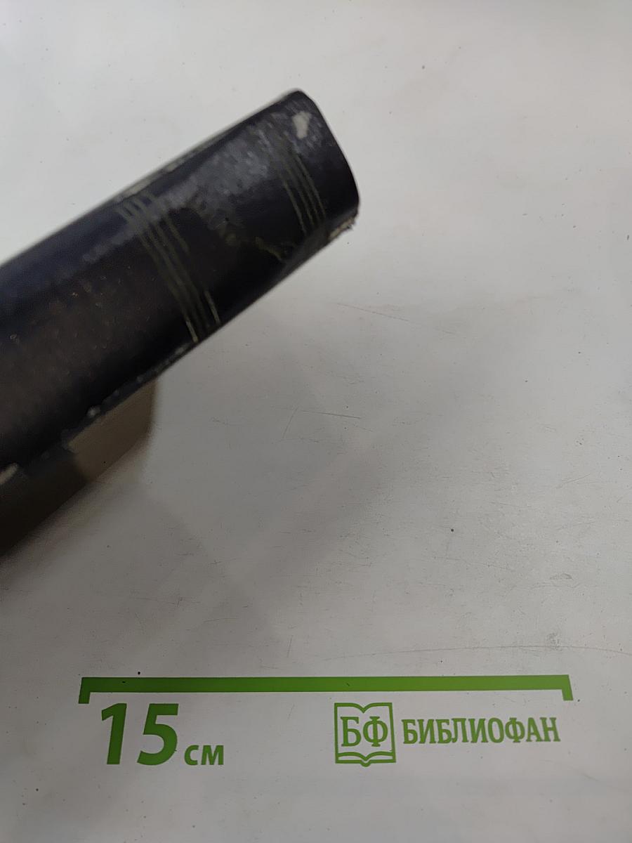 Жизнь Клима Самгина. Том 19