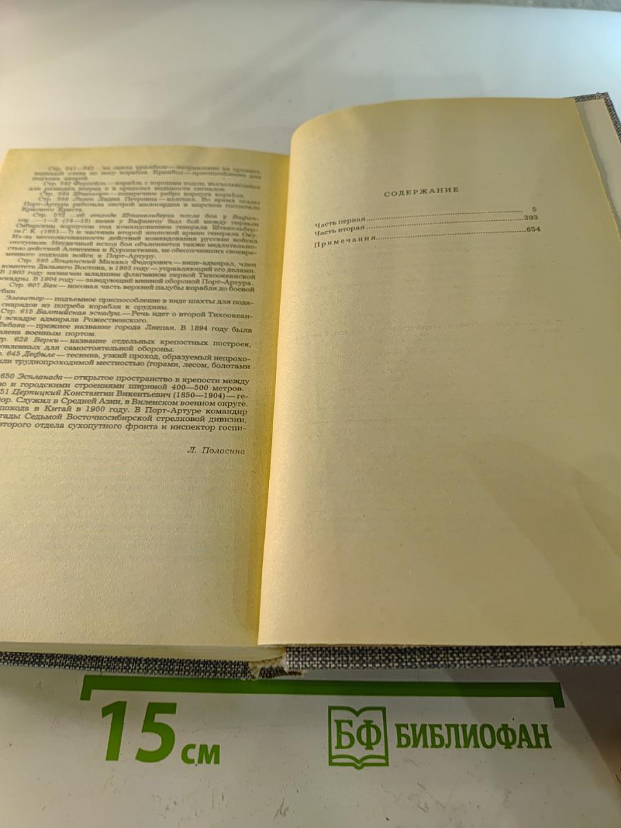 Порт-Артур. Роман в двух книгах. Книга первая