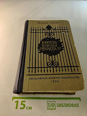 Юность короля Генриха IV