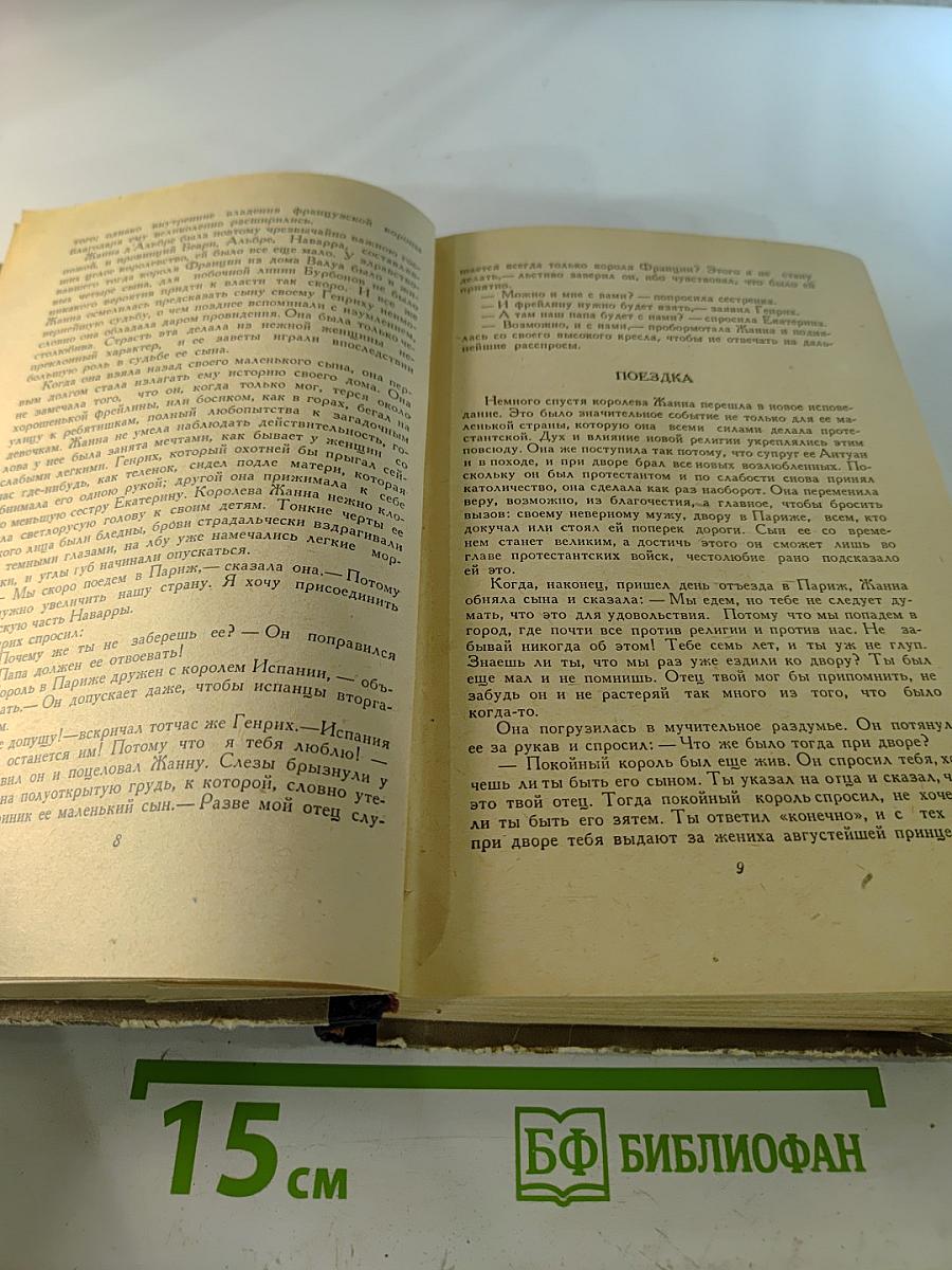 Юность короля Генриха IV