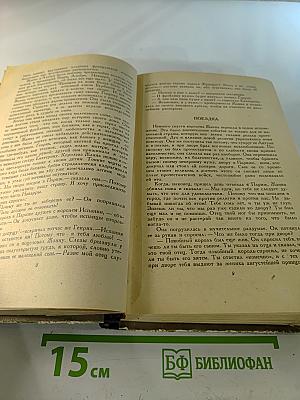 Юность короля Генриха IV