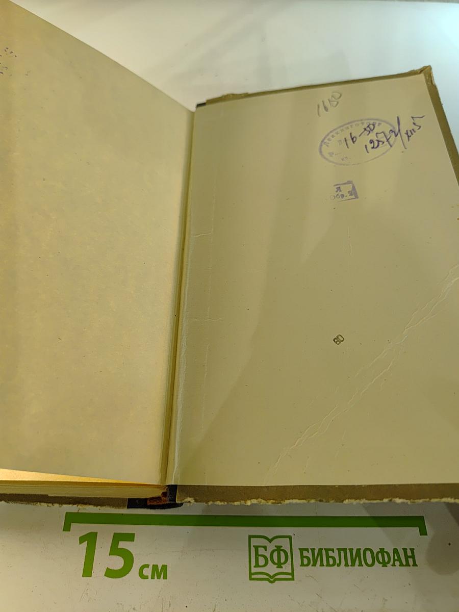 Юность короля Генриха IV