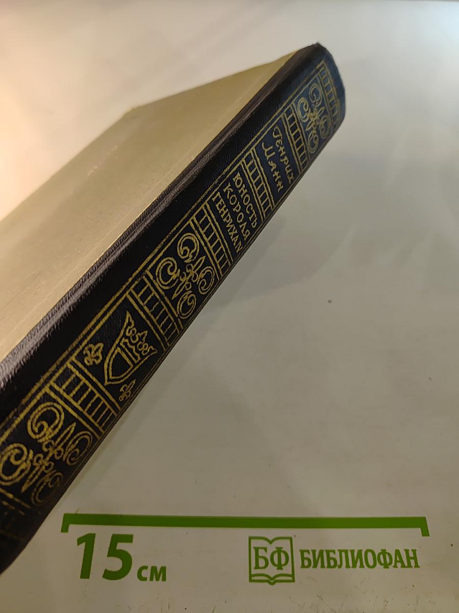 Юность короля Генриха IV