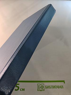 Первый человек в Риме II том