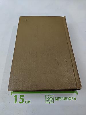 Собрание сочинений. Том четвертый. Маленькие повести. Рассказы