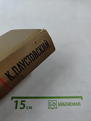 Собрание сочинений. Том четвертый. Маленькие повести. Рассказы