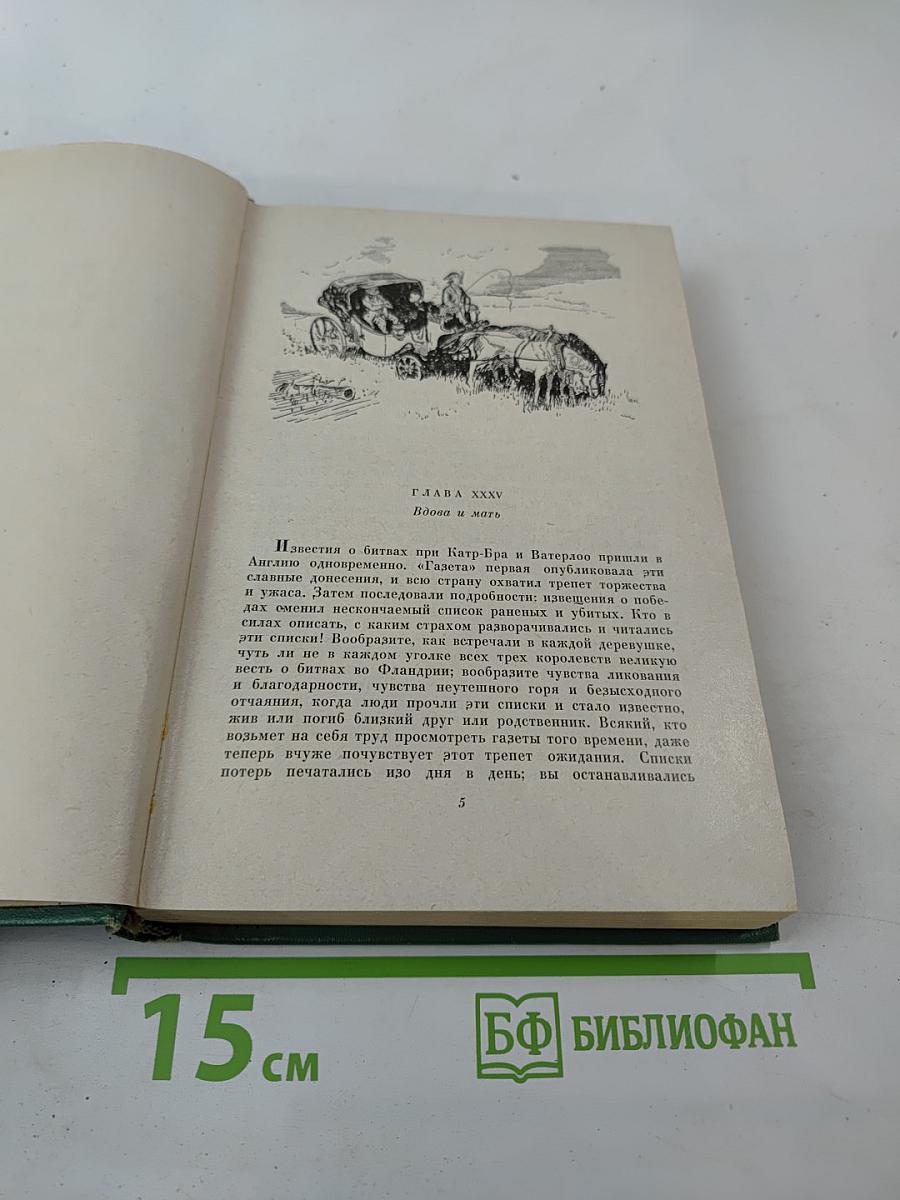 Ярмарка тщеславия. Роман без героя. Том II