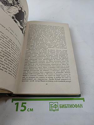 Ярмарка тщеславия. Роман без героя. Том II