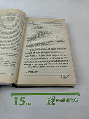 Огнем и мечом