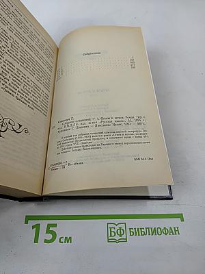 Огнем и мечом