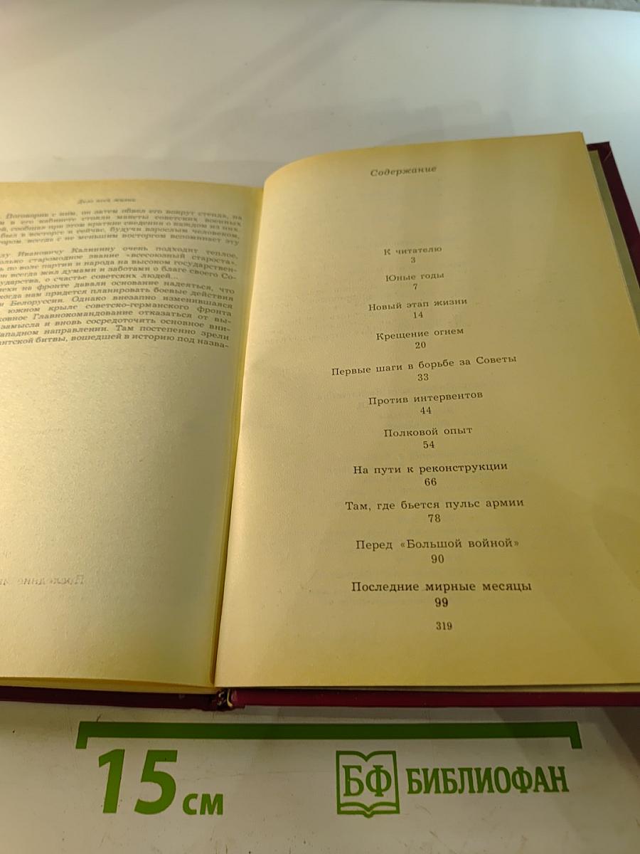 Дело всей жизни. Книга первая