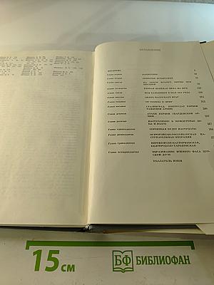 На Юго-Западном направлении 1941-1943. Книга 1