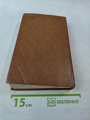 Разин Степан