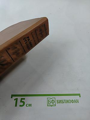 Разин Степан