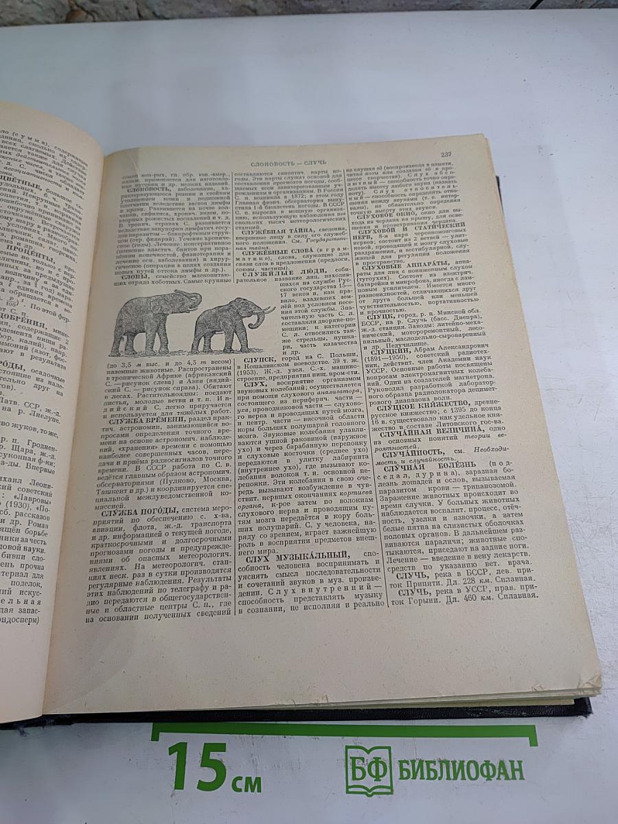 Энциклопедический словарь. Том 3. Пращур – Яя
