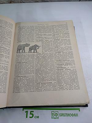 Энциклопедический словарь. Том 3. Пращур – Яя