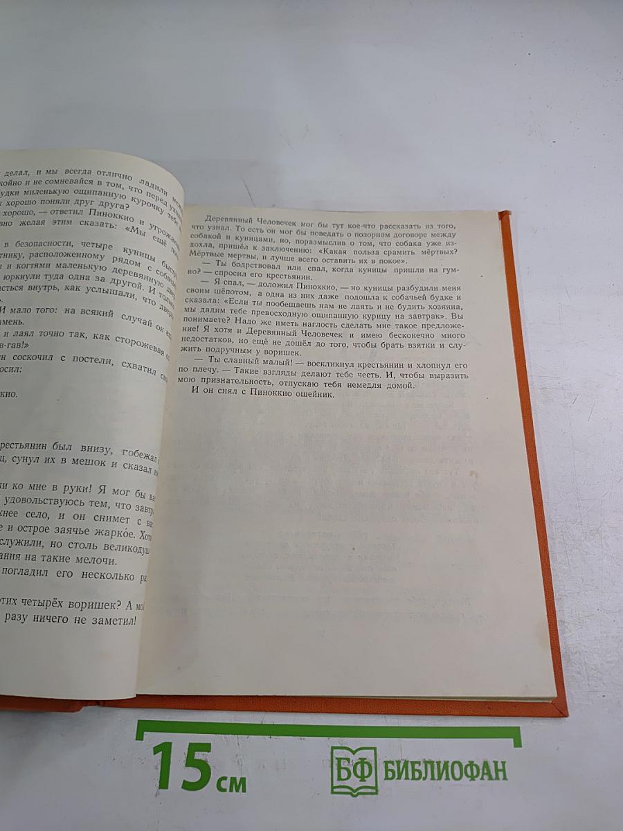 Приключения Пиноккио