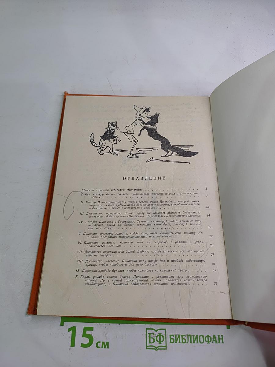 Приключения Пиноккио