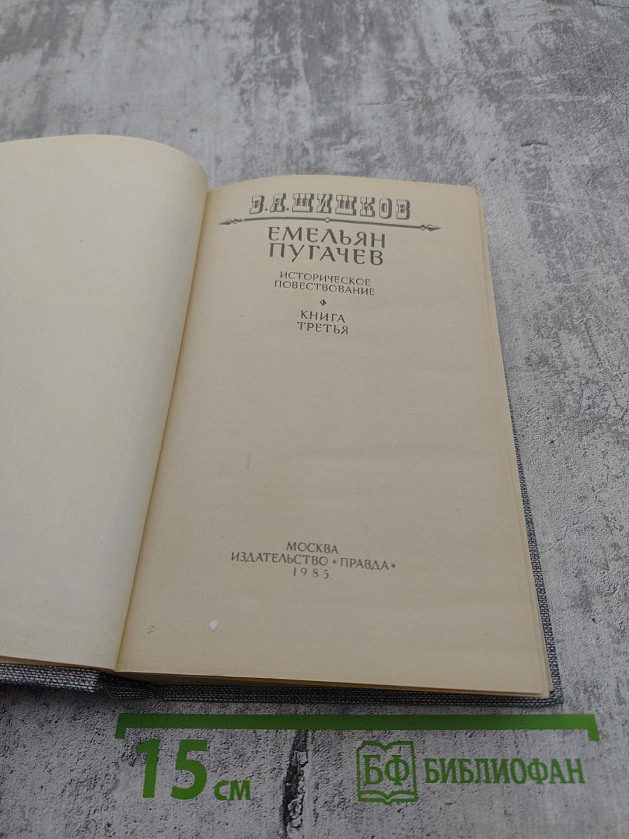 Емельян Пугачев. Книга третья