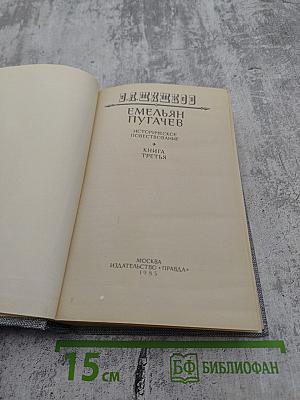 Емельян Пугачев. Книга третья