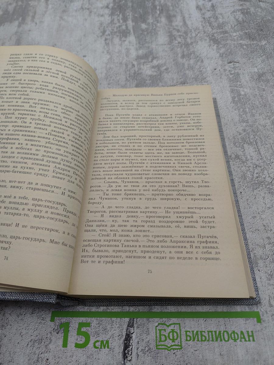 Емельян Пугачев. Книга третья