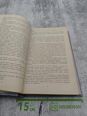 Емельян Пугачев. Книга третья