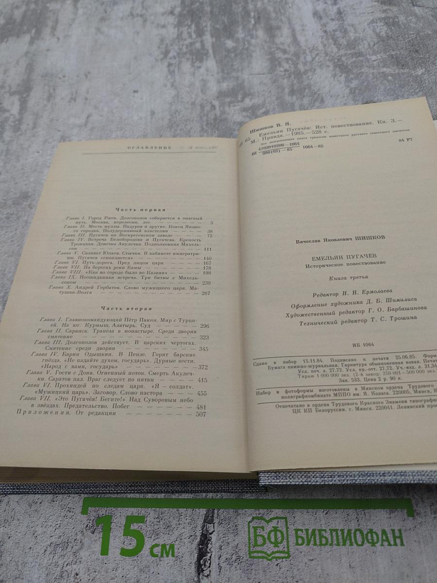 Емельян Пугачев. Книга третья