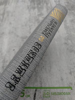 Емельян Пугачев. Книга третья