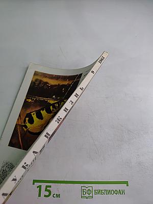 Наука и жизнь