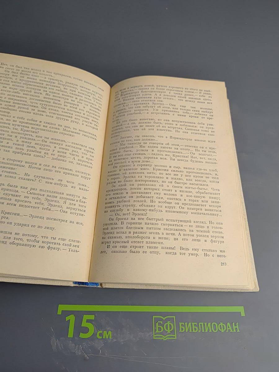 Кристин, дочь Лавранса. Книга 3