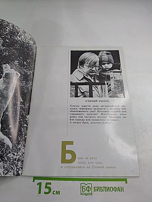 Про кота, ежа, собаку, и не только про них