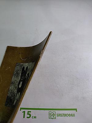 Про кота, ежа, собаку, и не только про них