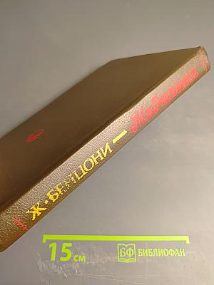 Звезда для Наполеона