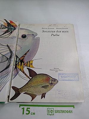 Зоология для всех: Рыбы