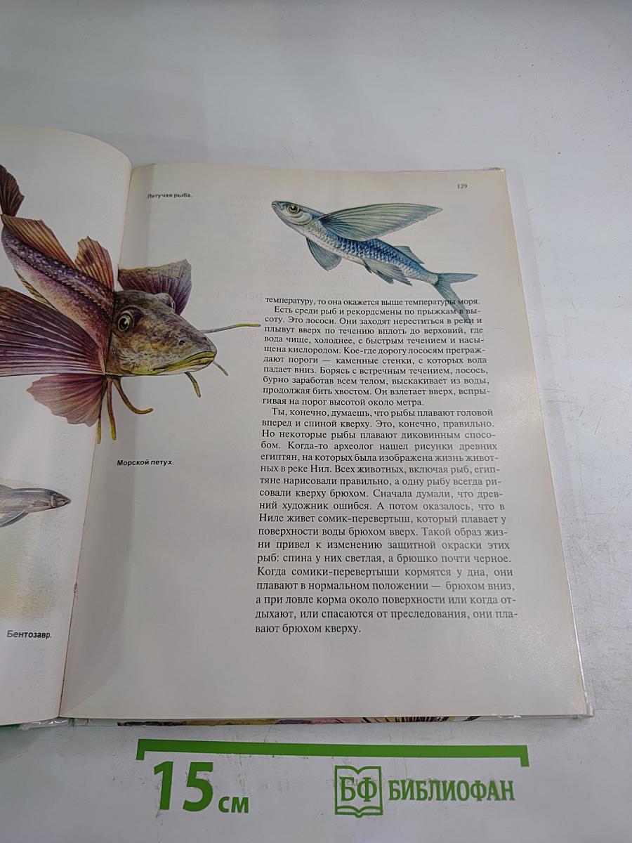 Зоология для всех: Рыбы