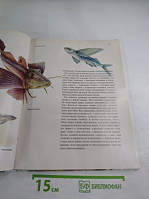 Зоология для всех: Рыбы