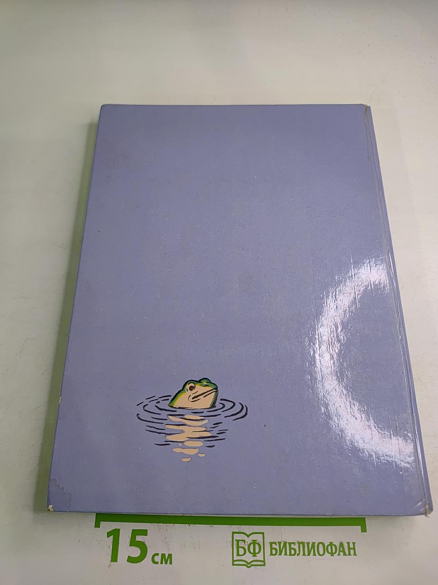 The Adventures of DUNNO and His Friends