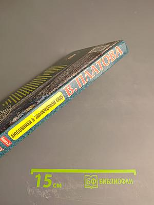 Любовники в заснеженном саду. Книга 2