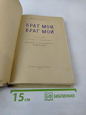 Брат мой, враг мой. Книга первая