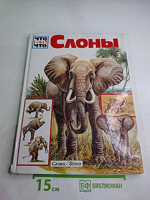 Слоны