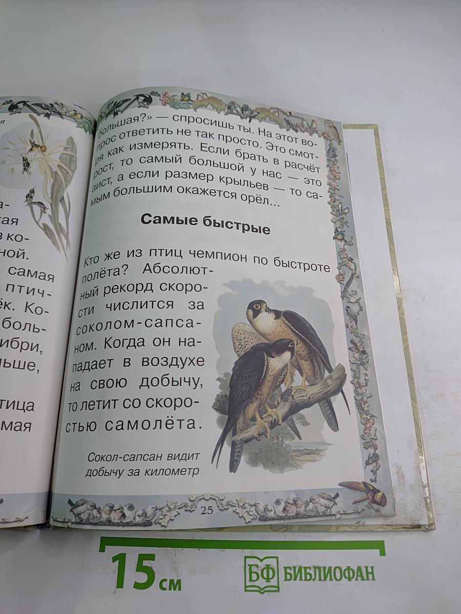 Птичьи секреты