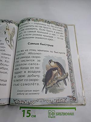 Птичьи секреты