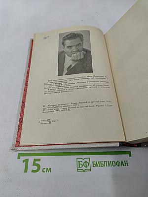 Жестокое милосердие. Белая тень