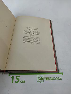 Жестокое милосердие. Белая тень