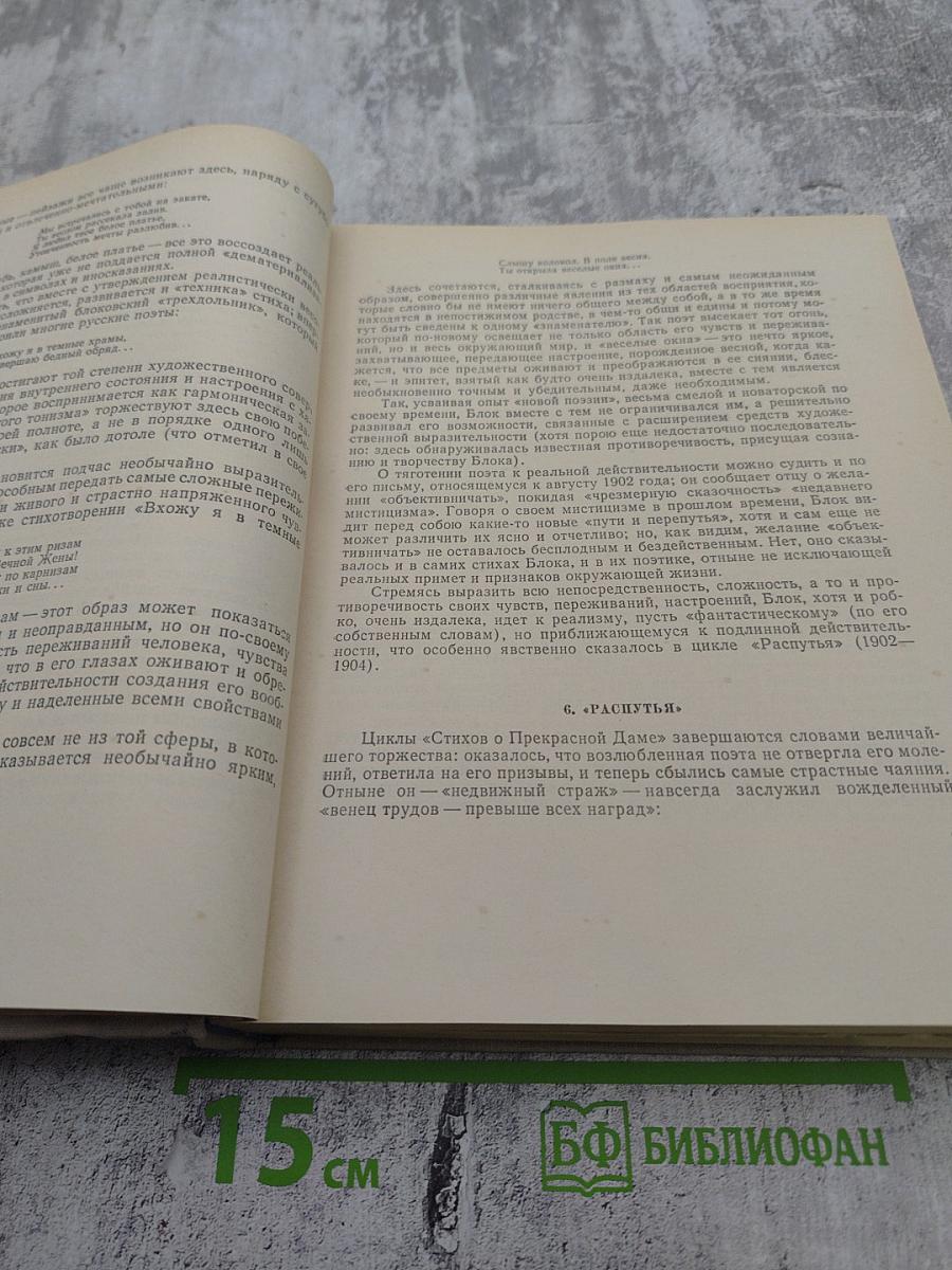 Поэт и его подвиг